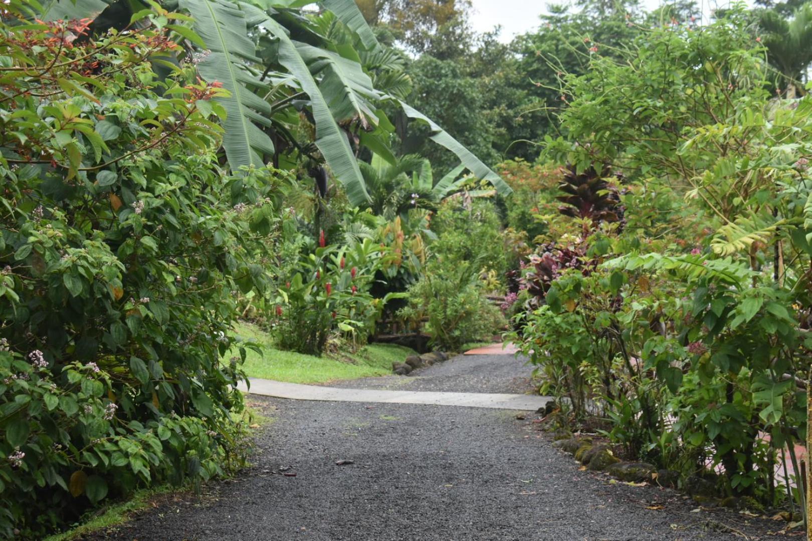 Hotel Roca Negra Del Arenal La Fortuna Luaran gambar