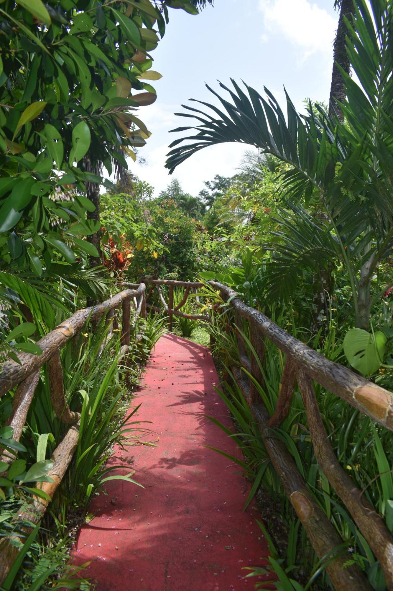 Hotel Roca Negra Del Arenal La Fortuna Luaran gambar