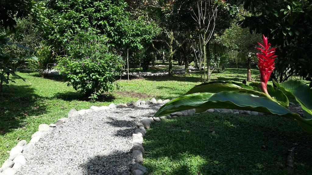 Hotel Roca Negra Del Arenal La Fortuna Luaran gambar