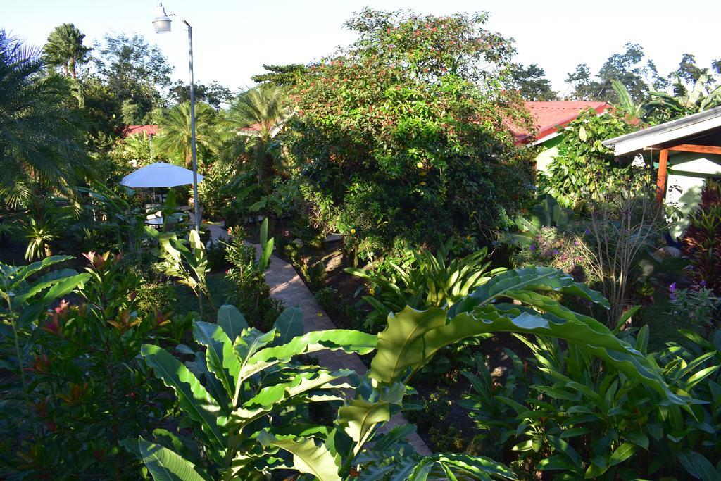 Hotel Roca Negra Del Arenal La Fortuna Luaran gambar