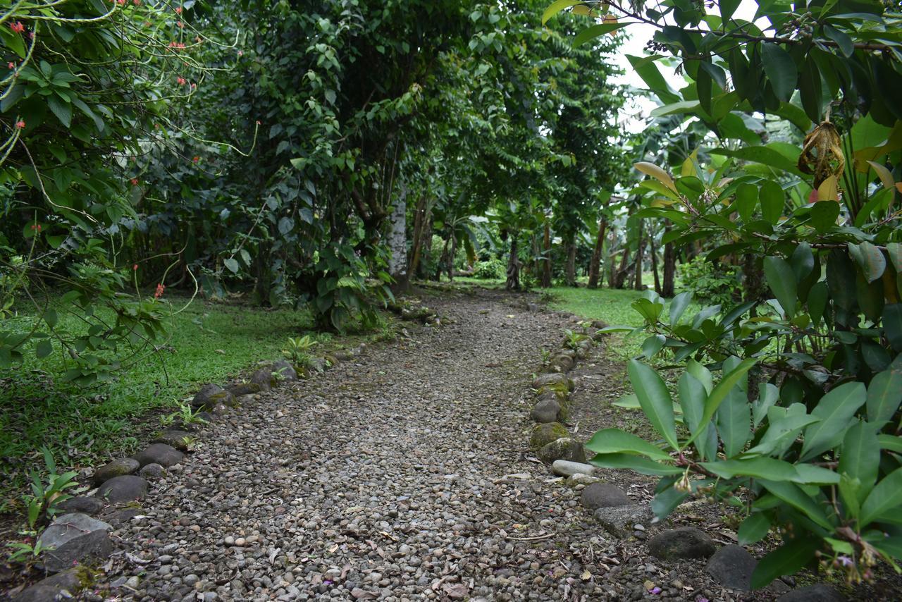 Hotel Roca Negra Del Arenal La Fortuna Luaran gambar
